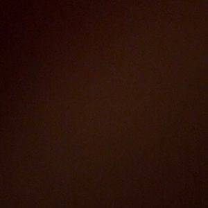 Meet your Posher, Rayven